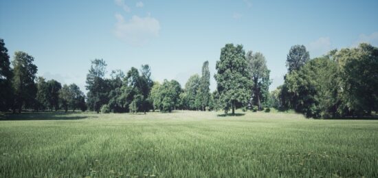 Terrain à bâtir à Aulnay-sous-Bois, Île-de-France